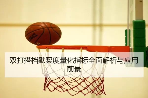 双打搭档默契度量化指标全面解析与应用前景